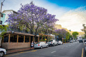 Südafrika - Kapstadt - Kloof Street | 41/140