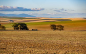 Südafrika - Napier - Napier Countryside | 110/140