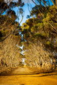 Südafrika - Napier - Napier Countryside | 111/140