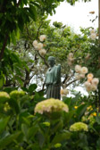 Italien - Ravello - Villa Cimbrone Garden | 75/140