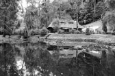 Rumänien - Bran - Castelul Bran Park - Schloss Bran Schlosspark | 42/75